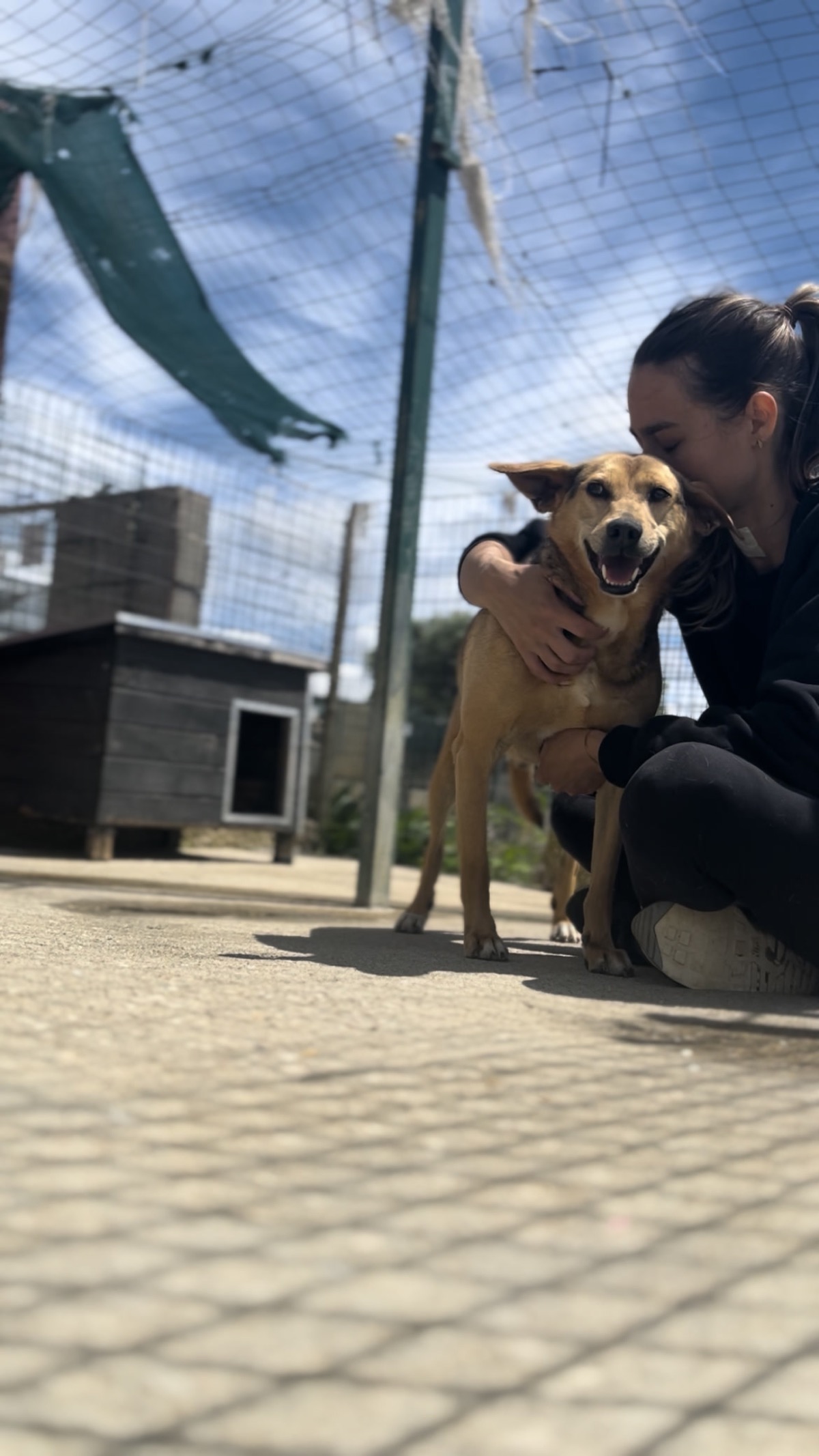 Voluntária a abraçar um cão