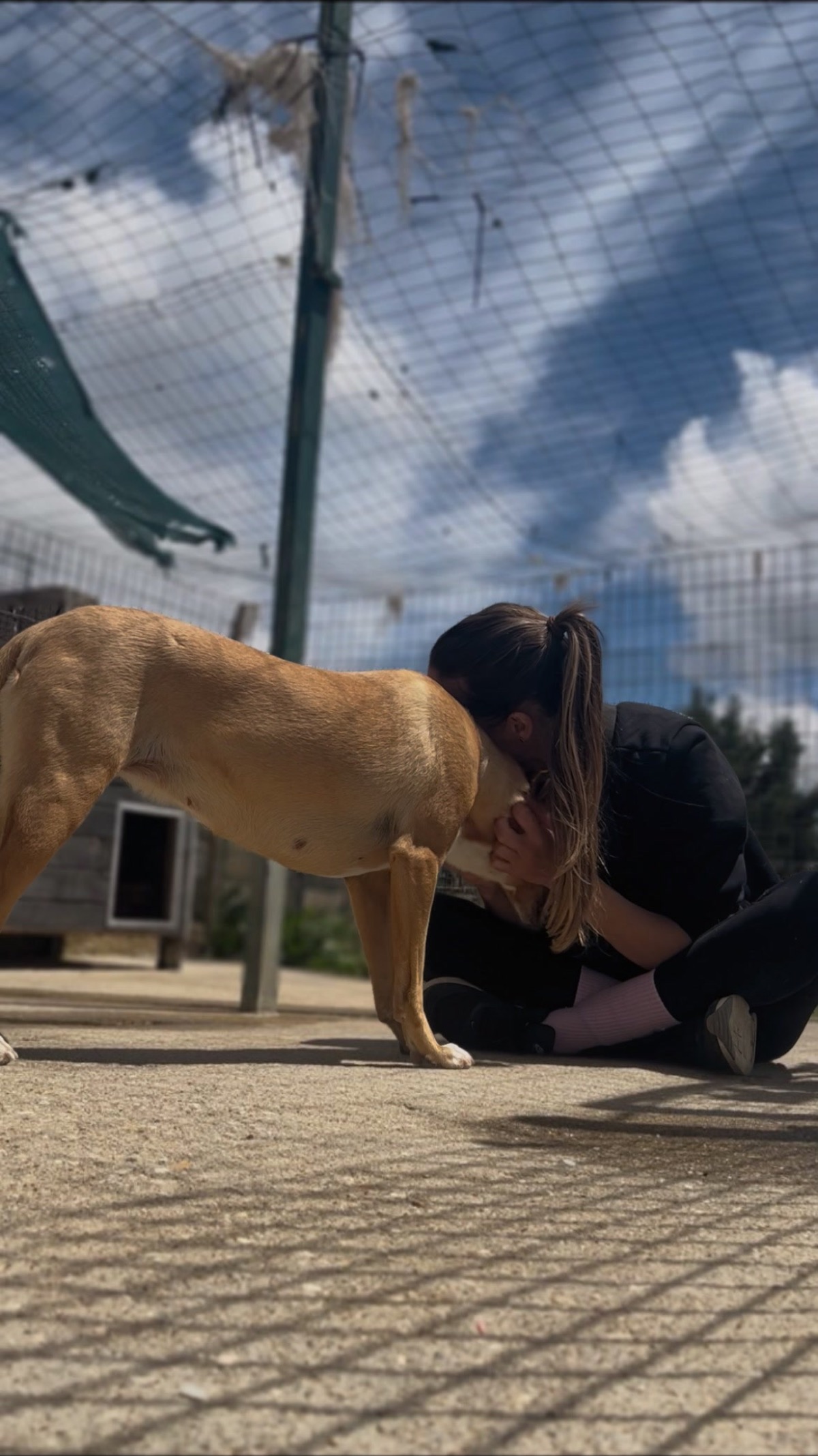 Voluntária nariz com nariz com um cão